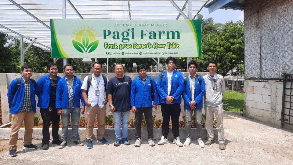 UPER Hadirkan Urban Farming Berbasis Energi Surya Lebih Efisien dan Ramah Lingkungan